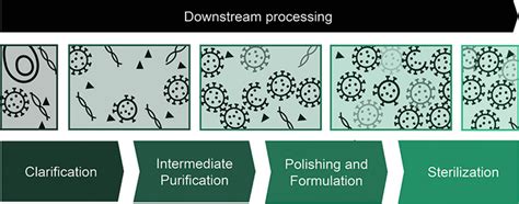 advances in lentivirus purification.